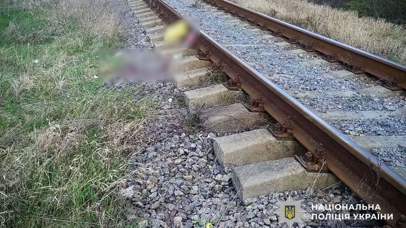 У Горішніх Плавнях потяг травмував жінку