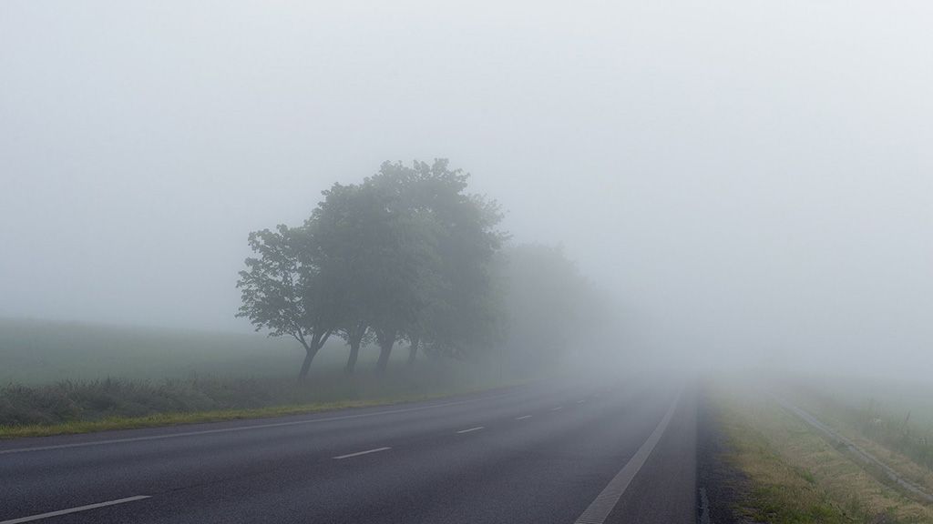 18 квітня на Полтавщині прогнозують невеликий дощ та туман