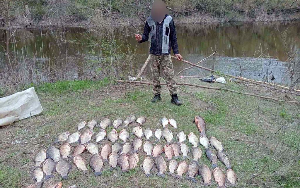 Горе-«павучатник» та штраф у 100 тисяч