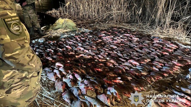 На Полтавщині викрили браконьєрів із уловом у пів тонни риби