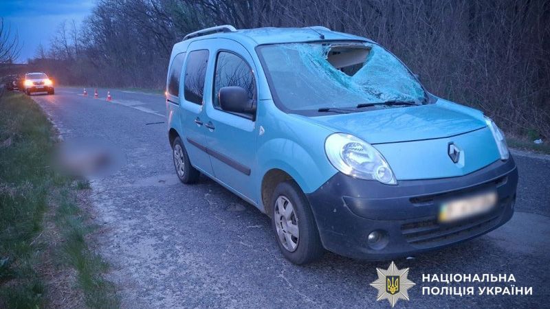 На Полтавщині автомобіль зіткнувся з козулею: постраждала дитина