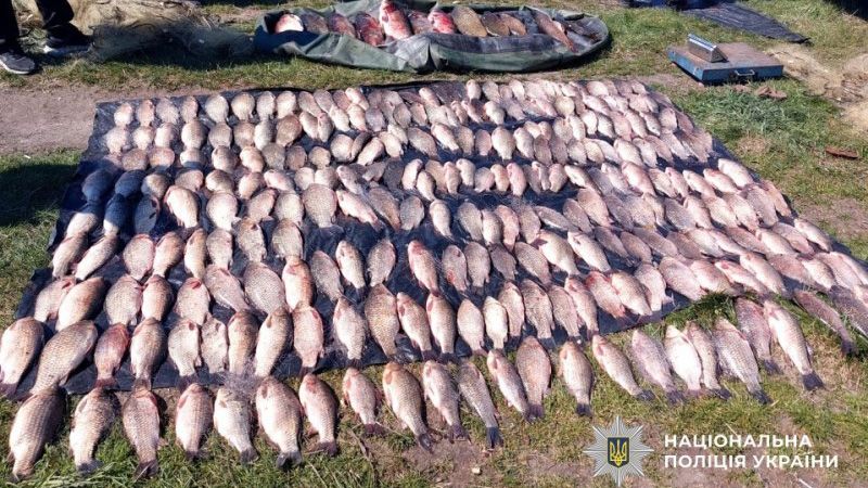 На Миргородщині викрили браконьєра з уловом у 180 кг риби