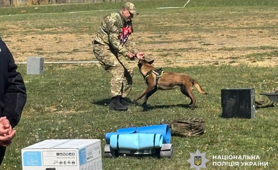 Полтавські кінологи разом зі службовою собакою Еліс взяли участь у всеукраїнських змаганнях у Мукачеві