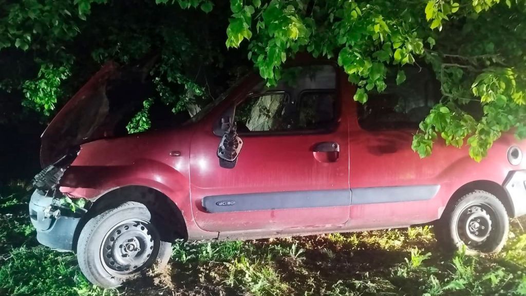 У Миргородському районі «Renault» врізався у дерево: водій потрапив до лікарні