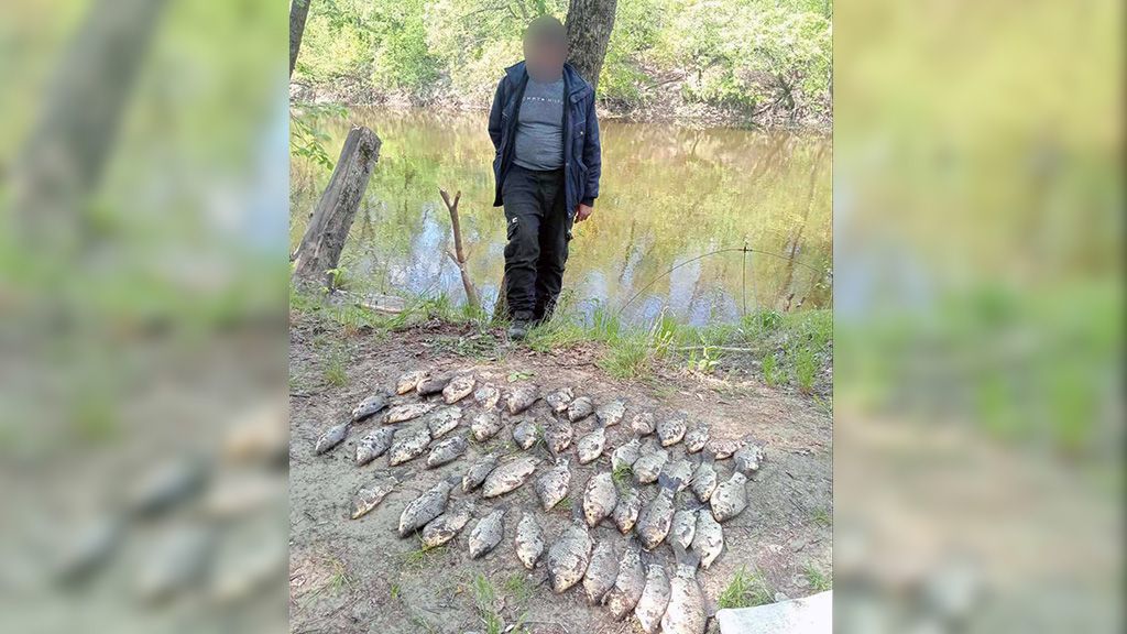 Біля Лісного затримали «павучатника»
