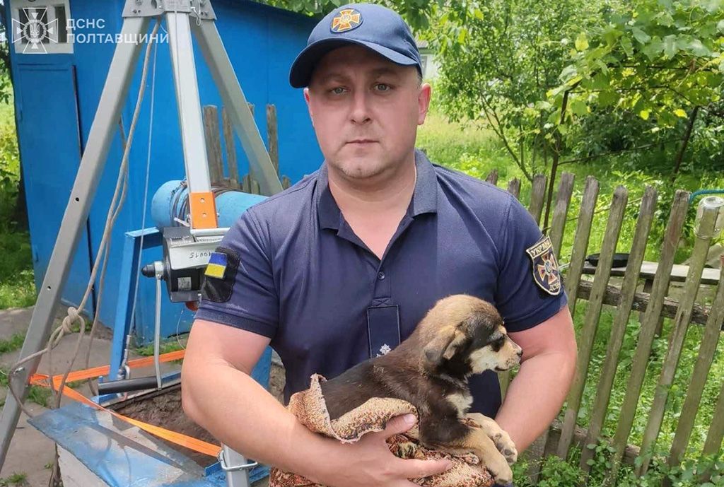 Врятований Щасливчик: у Лубенському районі надзвичайники дістали з 10-метрового колодязя півторамісячне цуценя