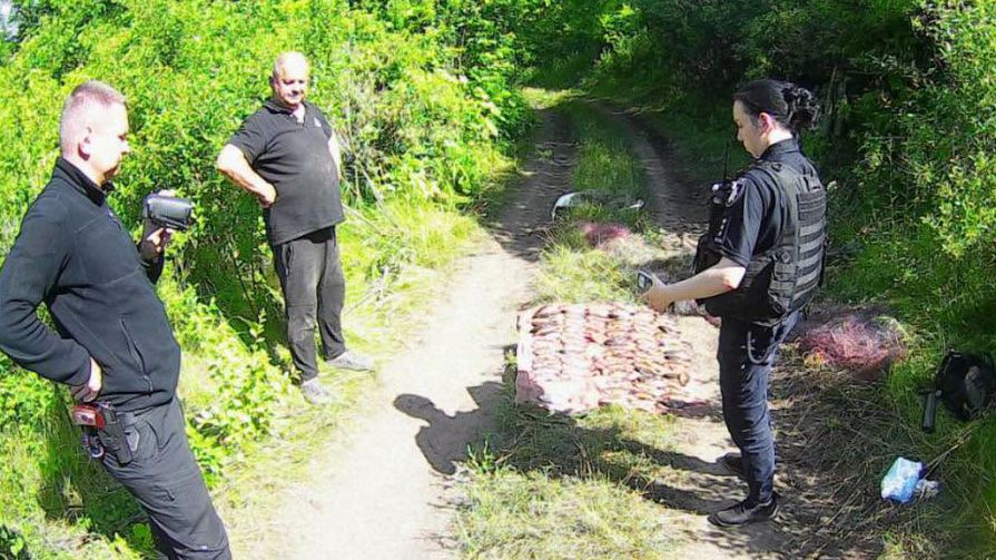 Із Кобелячка сітками виловили риби на 65 тисяч