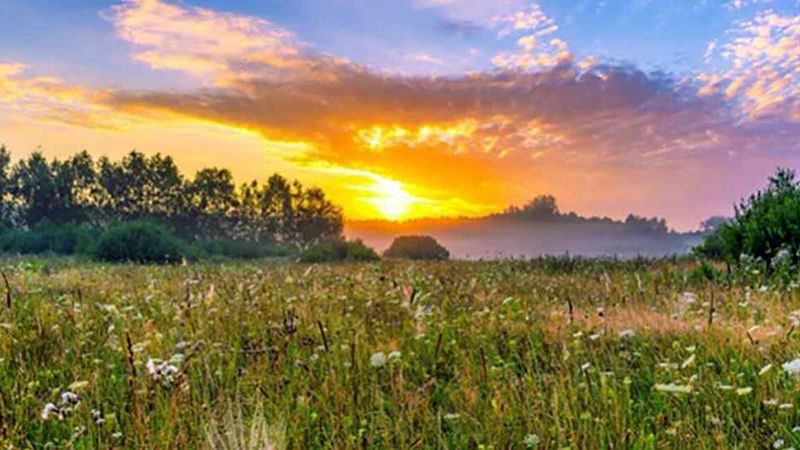 До зустрічі в липні