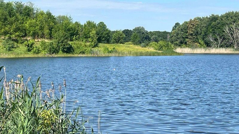 Трагедія на воді: у ставку на Хорольщині знайшли тіло пенсіонера