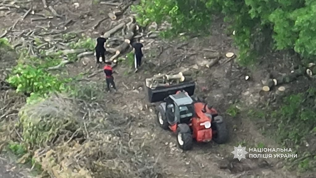На Полтавщині поліція викрила групу осіб, які вирубали лісу на майже 3 мільйони гривень