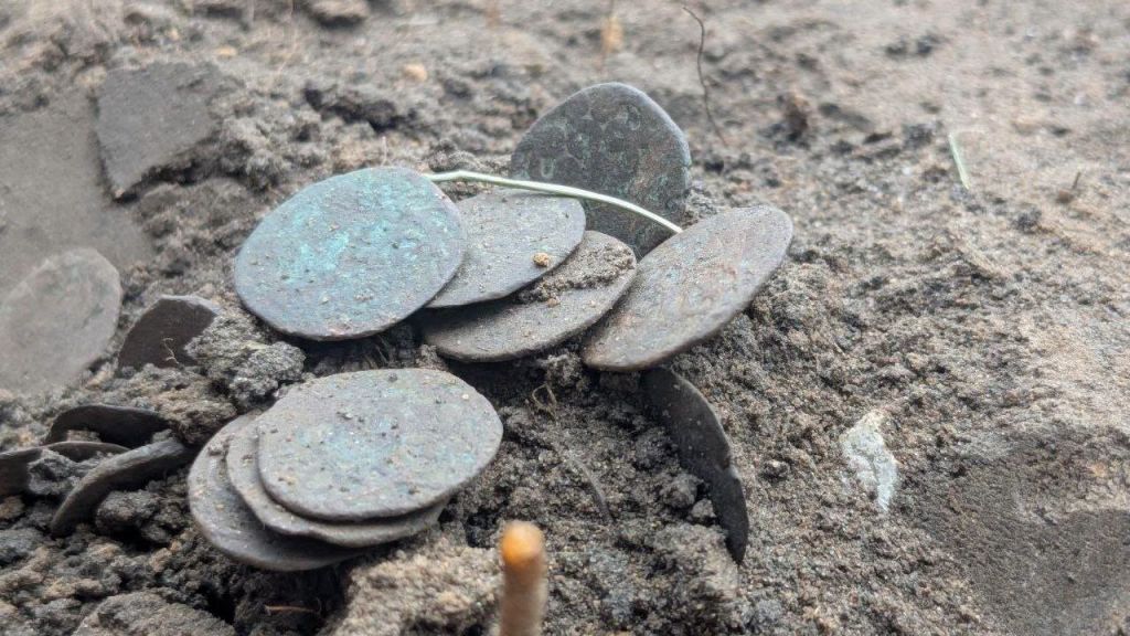 Унікальна знахідка на Полтавщині: археологи заповідника «Більськ» відкопали скарб монет XIV століття