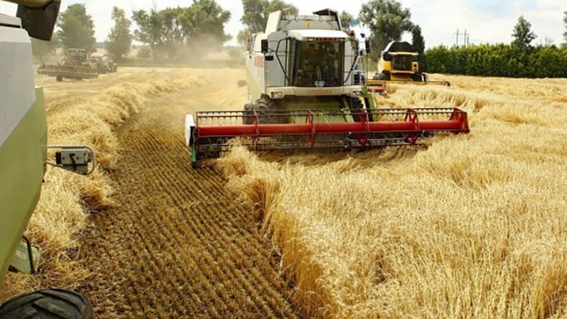 У регіоні завершили жнива ранніх зернових
