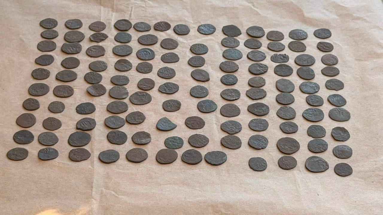 Скарб із 118 монет та прикраси еліти: на Полтавщині археологи зробили унікальні знахідки