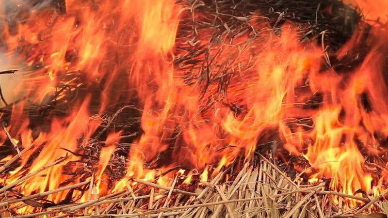 У Нехворощанській громаді жінка палила сміття – в результаті згоріло 300 тюків сіна