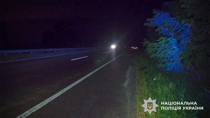 На трасі під Абазівкою водійка збила пішохода із собакою та втекла: чоловіка госпіталізовано, тварина померла