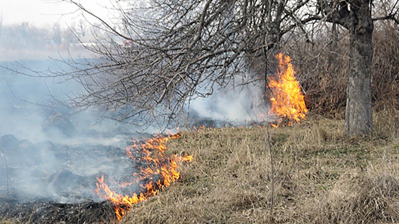 У Миргородському районі внаслідок падіння ворожого БпЛА зайнялася суха трава
