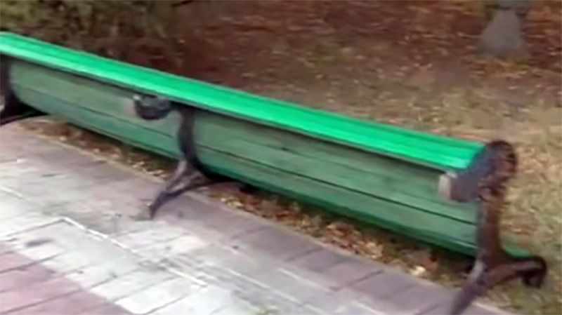 Нічний вандалізм у Полтаві: невідомі пошкодили лавку й квіти в Корпусному парку та розтрощили автомат із іграшками