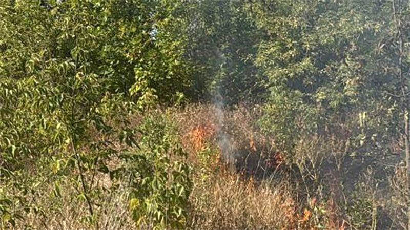 У Полтавському районі впав ворожий БпЛА: виникла пожежа