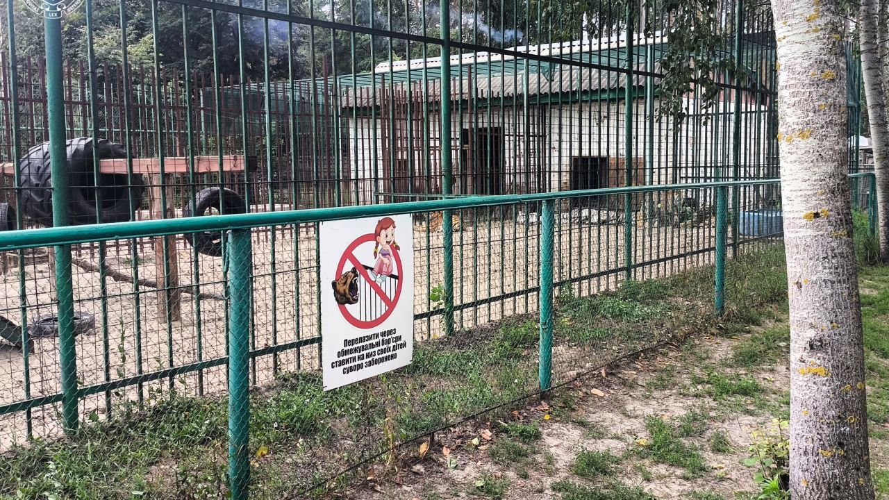 Напад левиці на 5-річну дитину під Диканькою: ветеринарному лікарю повідомили про підозру
