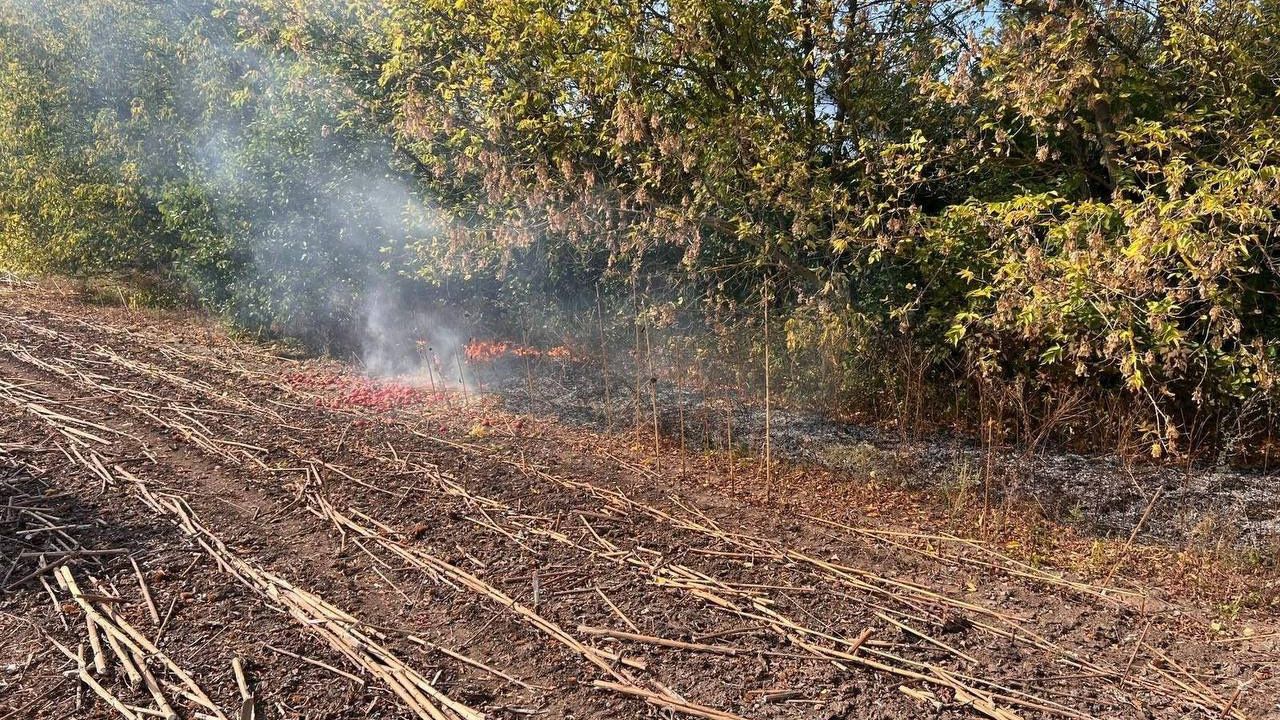 Падіння уламків БпЛА у Полтавському районі: на відкритій території спалахнув сухостій