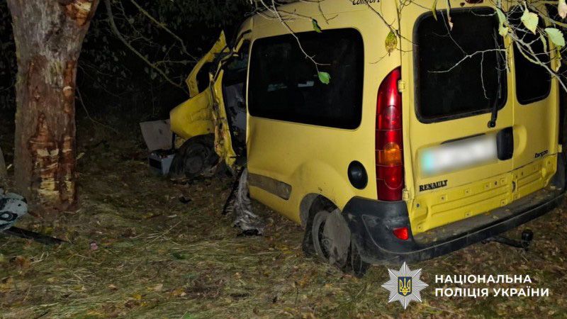 У Кременчуцькому районі легковик злетів у кювет і врізався в дерево: двоє людей у лікарні