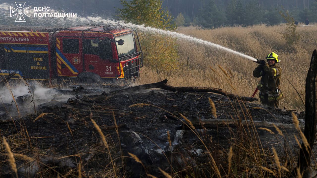 У Полтавському районі ліквідували пожежу в лісі площею 3 гектари