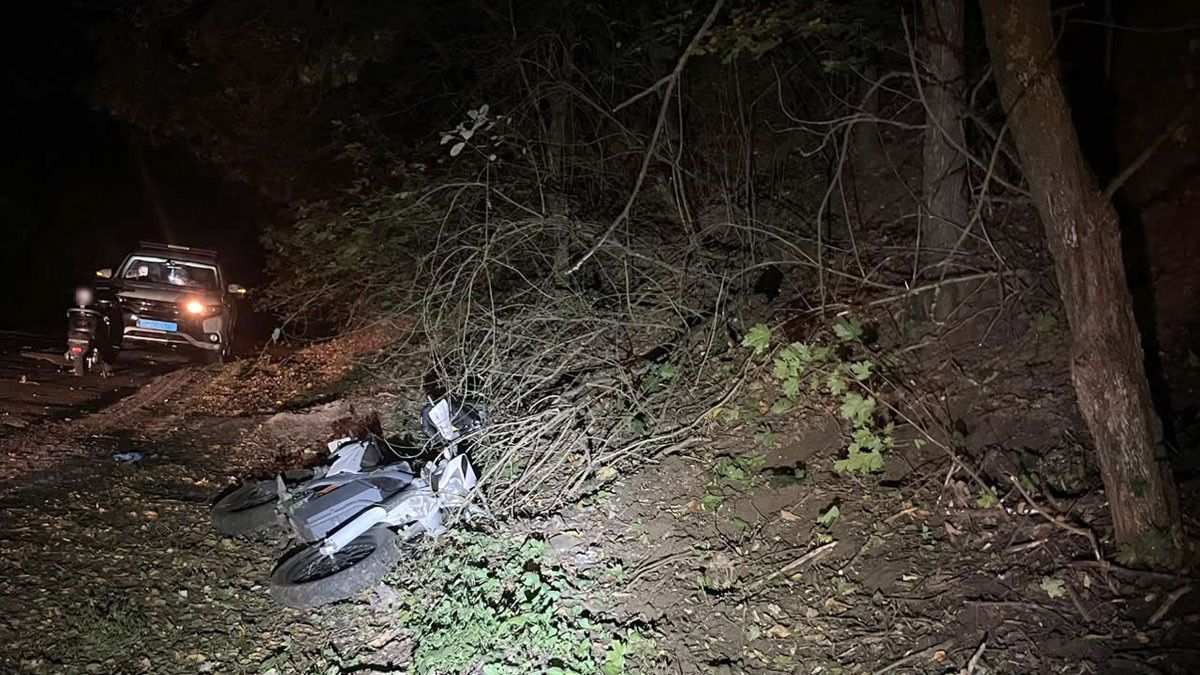 На Миргородщині 18-річний водій електромотоцикла врізався у дерево