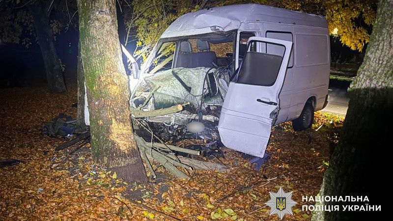 У Лубнах 18-річний нетверезий водій на мікроавтобусі врізався в дерево