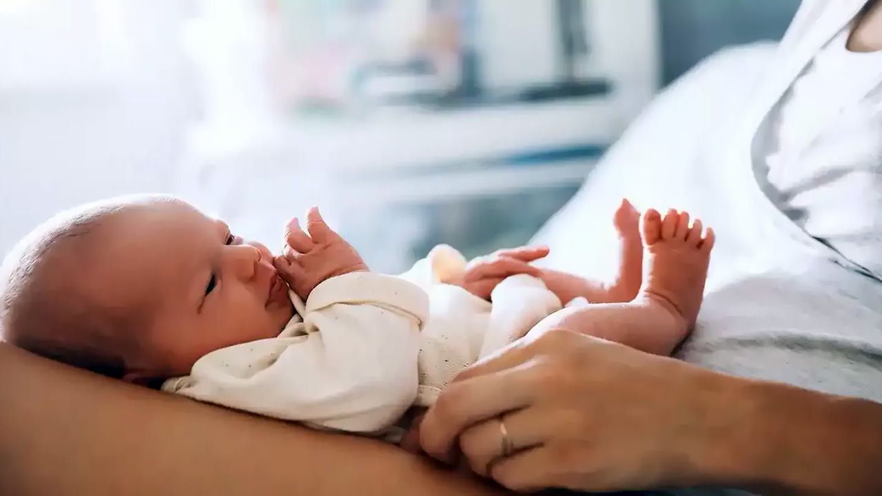 3 700 малюків народилися за дев’ять місяців цього року