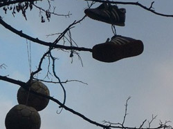 Черевики, кросівки й футбольні м’ячі у Полтаві «ростуть» на деревах